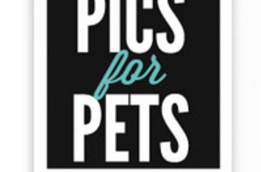 Pics for Pets Scholarship from DoSomething