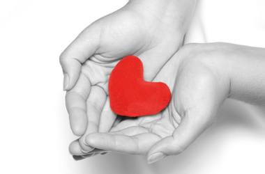 Top 10 Places to Give Back