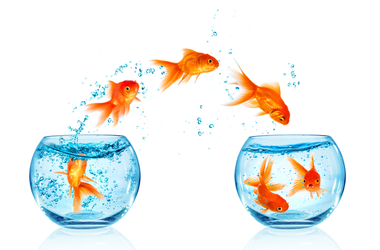 Is It Worth It? 6 Reasons to Transfer