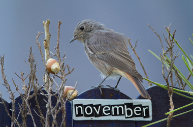 November Checklist for High School Juniors