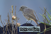 November Checklist for High School Juniors