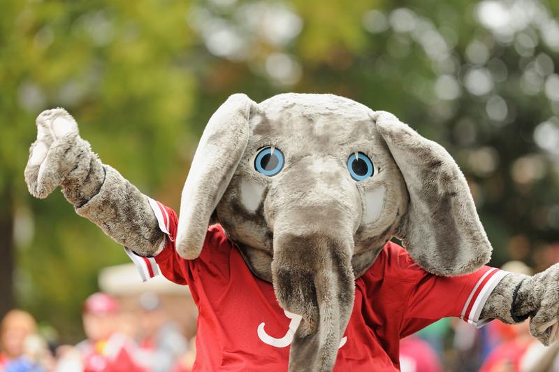 Ridiculous College Mascot TikTok Accounts You Should See 