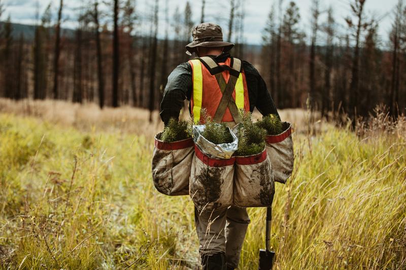 Top Environmental Internships for Students 