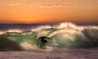 Surfing the College Website