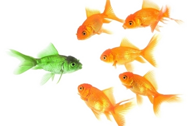 Don’t Let Your Scholarship Slip Away