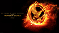 Max200w_the-hunger-games-wallpaper-the-hunger-games-28393405-120-68