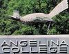 Angelina College logo