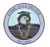 Stone Child College logo