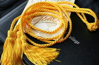 Honors Scholarships