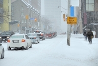Holiday Travel: What to Know Before You Go