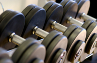 Working Out Your Workout Plan