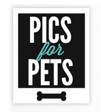 Pics for Pets Scholarship from DoSomething