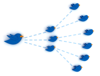 Using Twitter in Your Job Search