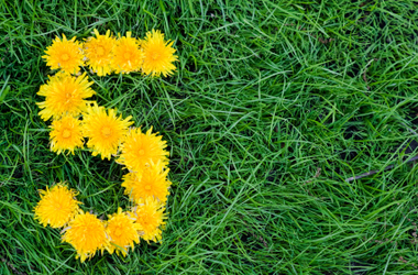 5 Things You Should Know About the SAT