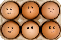 The Feelings Behind Admissions Decisions