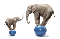 Maintaining Balance: School, Scholarships & Your College Search