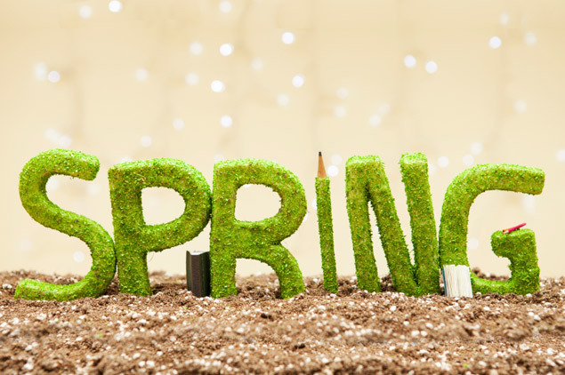 Spring Into Your Scholarship Search