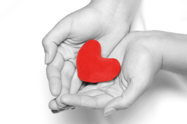 Top 10 Places for Students to Give Back