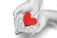 Top 10 Places for Students to Give Back