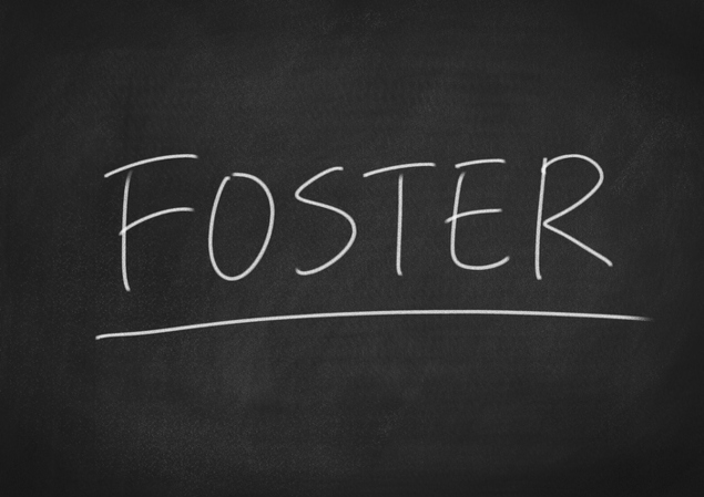 Financial Aid and Scholarships for Foster Care and Adopted Children