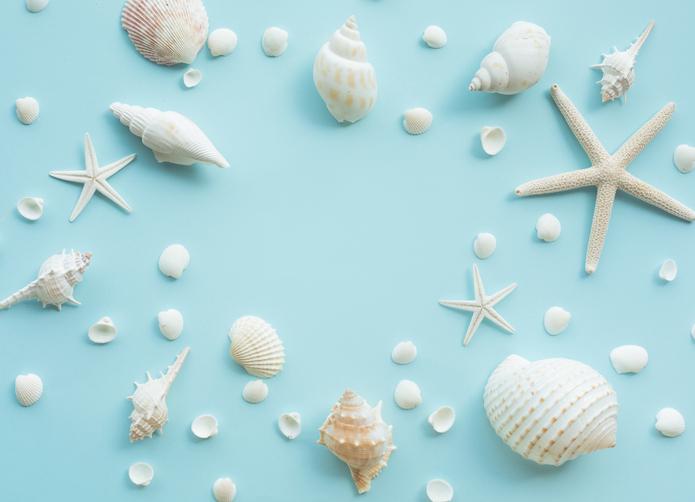 Picking Colleges like Seashells