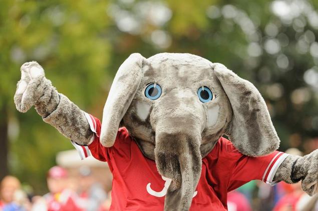 7 Ridiculous College Mascot TikTok Accounts You Should See 