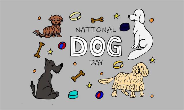 Take This National Dog Day Quiz for Students 