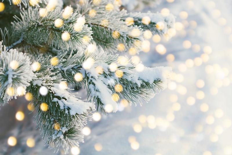 December 2025 Scholarship Opportunities