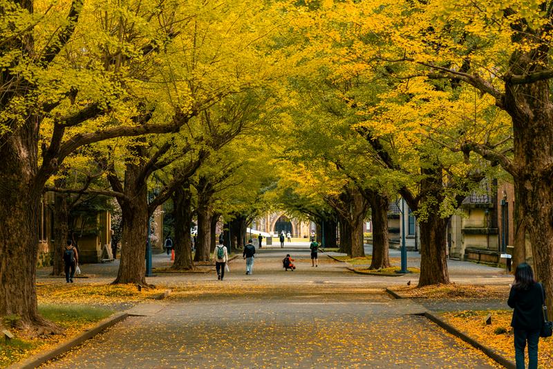 Fall into Scholarships: October and November 2025 Scholarship Opportunities